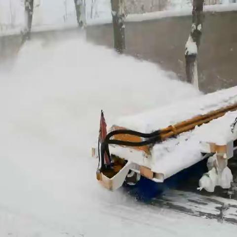 爱心守望  风雪同行【马军营环卫管理公司】