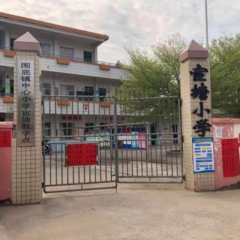 停课不停学，我们在行动——宦塘小学线上教育活动小记