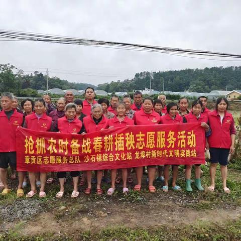 绵绵细雨中——龙埠村抢抓农时不停歇