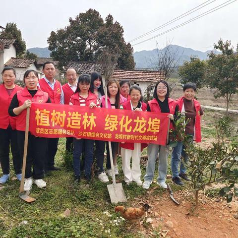 植树造林 绿化龙埠