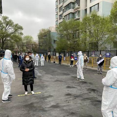 同心协力战疫情 志愿服务显担当 —省动物疫病预防控制中心参加西交社区抗疫志愿服务活动