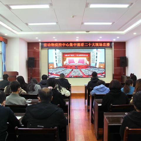 激情满怀迎盛会 砥砺奋进新征程—省动物疫控中心组织全体干部职工观看党的二十大开幕盛况