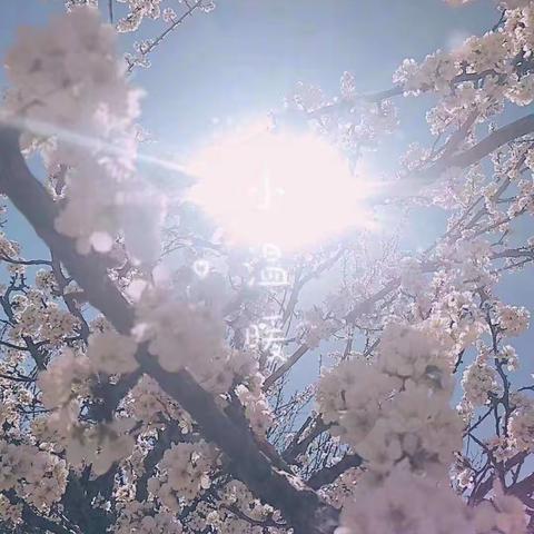 合法权益我知晓   哈中女性维权月