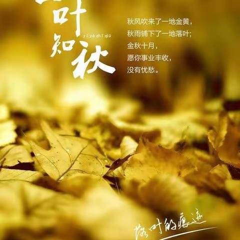 哈拉道口镇中学秋季运动会                ——— 鸣奏青春旋律                    抒写运动豪情