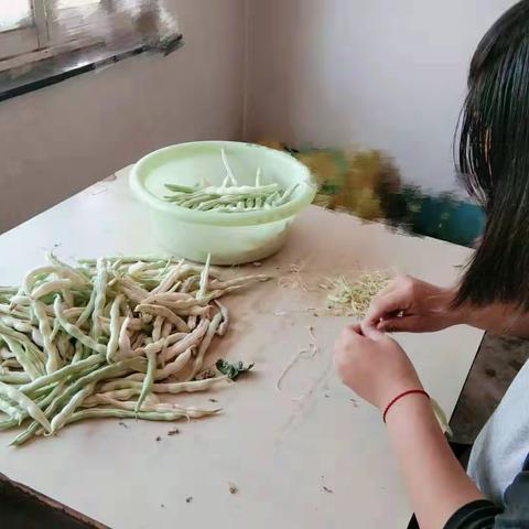 我是勤劳的小蜜蜂           哈拉道口镇中学  唐金艳