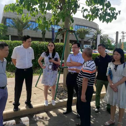 关于长滨路与海秀快速路交叉口匝道及周边积水情况调查报告