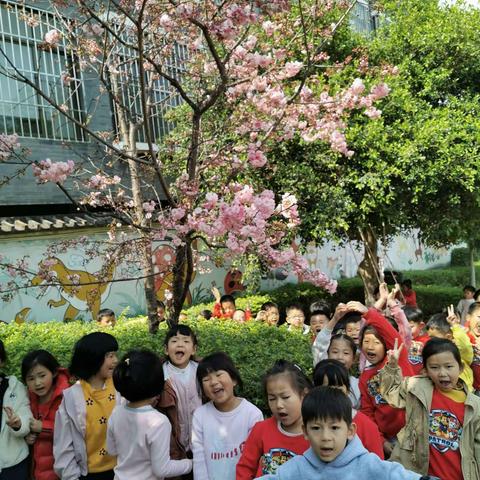 花开时节   浓浓爱意                         永仁县城区幼儿园大二班三八节主题活动