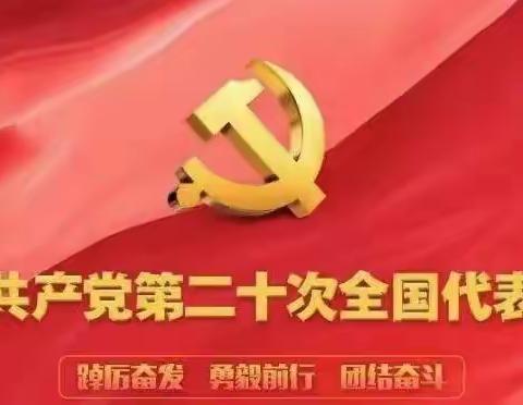 凝聚共识、勇毅前行——网络金融部党支部认真组织学习党的二十大报告