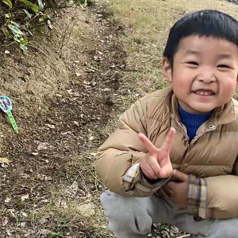种下一颗小种子