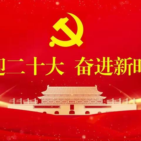 第七党支部开展 “建言二十大” 调研活动