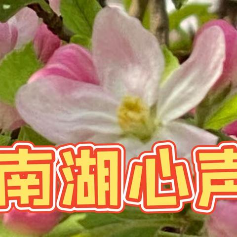 南 湖 微 刊  第18期