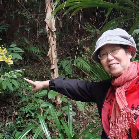 桂芳      游西双版纳     （一）   2023、1