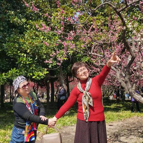 世纪公园赏梅花         2023、3