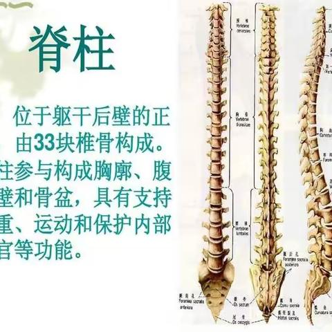 骨伤一科健康小讲堂