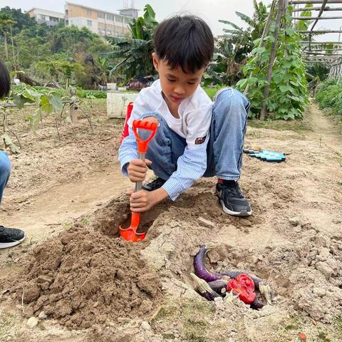 我是种植小能手