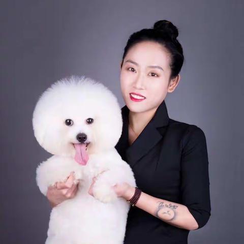 山东启轩宠艺(原狗模狗样)招生简章