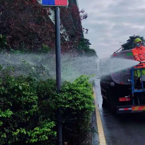 绿化管养部12月6日工作汇报