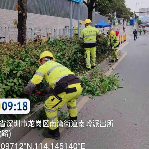 绿化管养部12月5日工作汇报