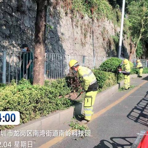 绿化管养部12月8日工作汇报