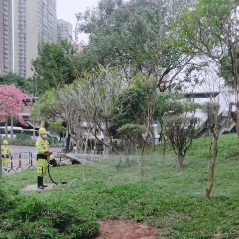 绿化管养部12月1日工作汇报