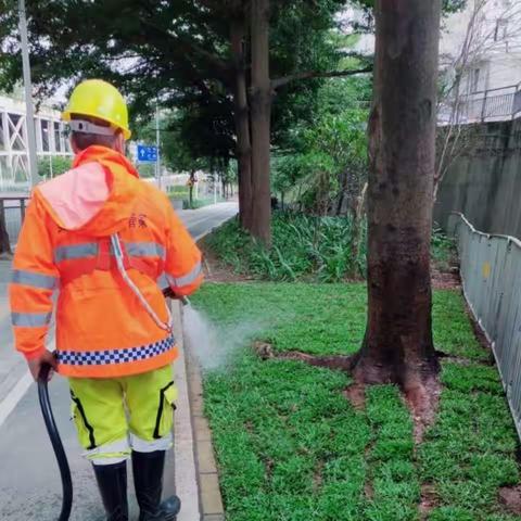 绿化管养部12月2日工作汇报