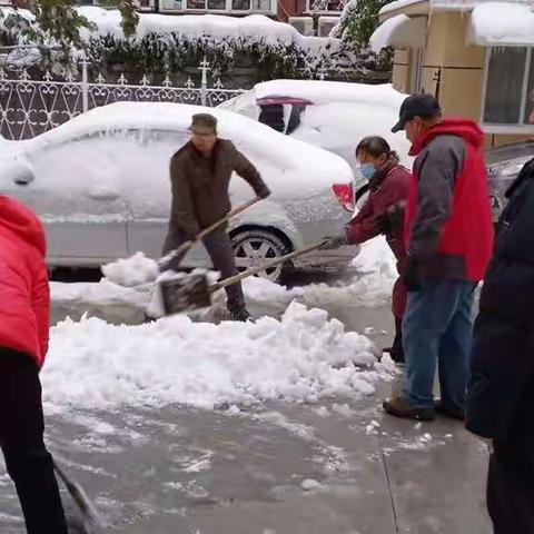 二七六区业主抗雪剪影