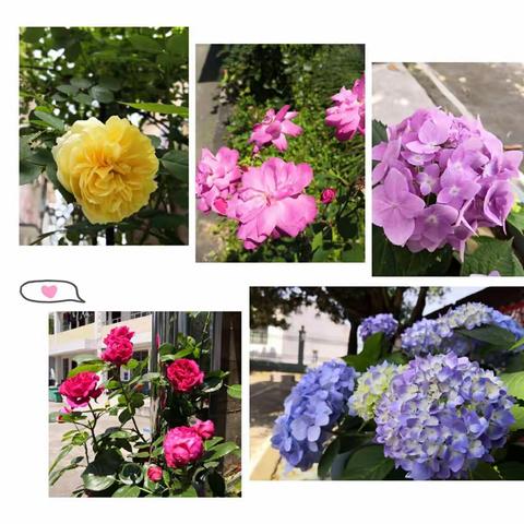 “弯弯腰”进校园  争做环保小卫士