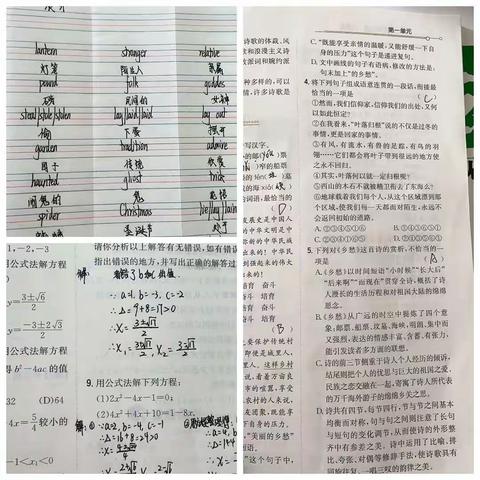 梦之组