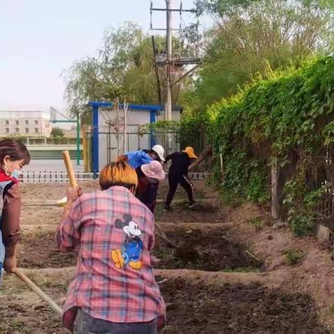 库尔勒市第十小学总务处扎实做好校园种植前准备工作