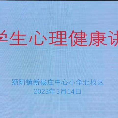 心向阳光，健康成长——新杨庄中心小学心理健康教育主题活动纪实