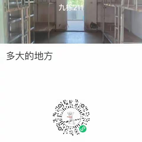 鸽子情缘的美篇