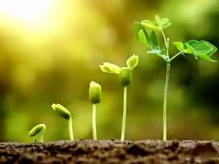 世纪红星幼儿园旭日班周一分享《周末趣事》