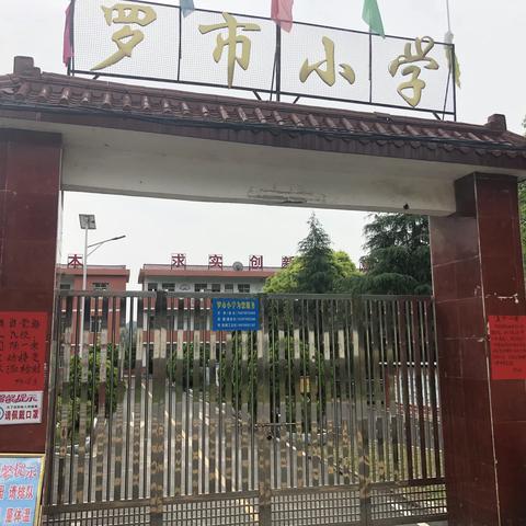 春暖花开，时光如初—记罗市小学返校复课