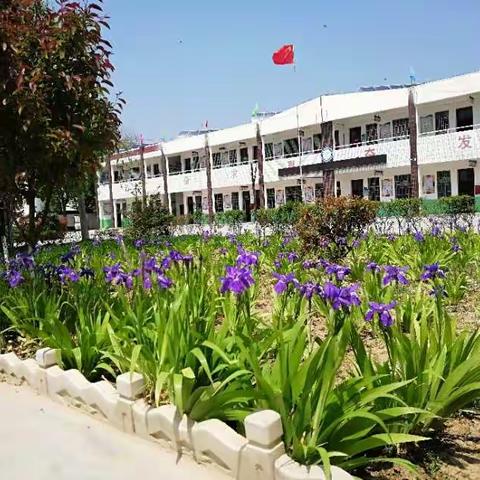 陈桥镇中心小学加班日常