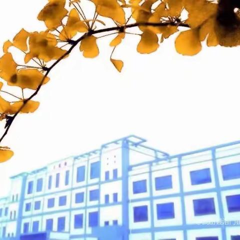赓续初心、坚守师德、以爱育人， ———武山县洛门中心小学师德师风培训纪实
