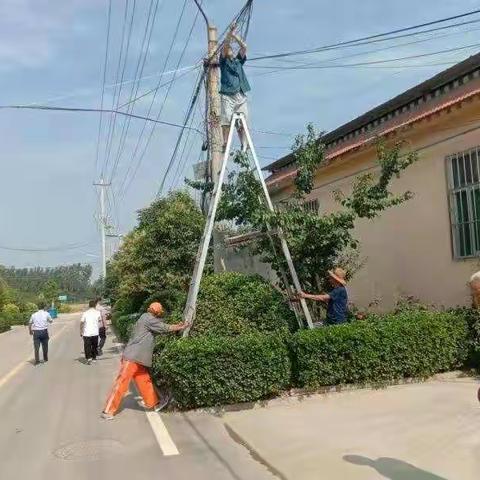 玉清湖街道辖区杆线整治日志