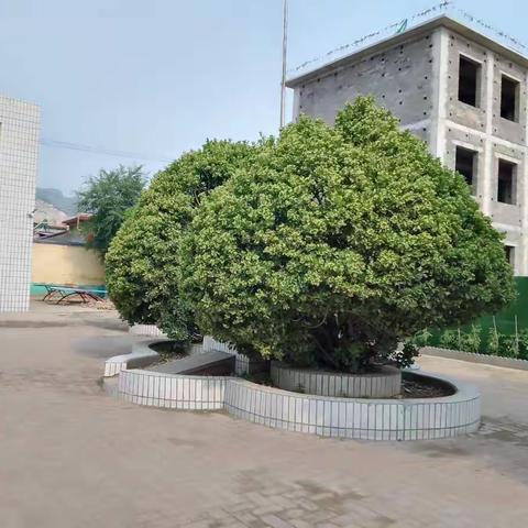 创建平安文明校园，构建和谐育人环境