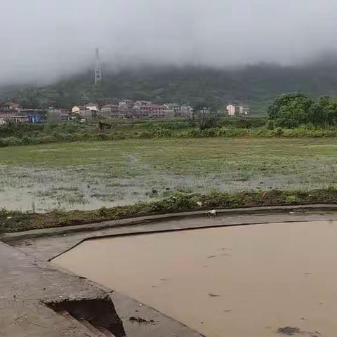 让党旗在一线飘扬---东庄小学党员教师巡查水域路面，给学生上下学保驾护航