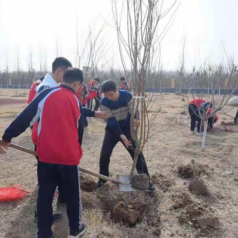 让雷锋精神永驻人间——高青五中组织学生参加志愿者植树活动