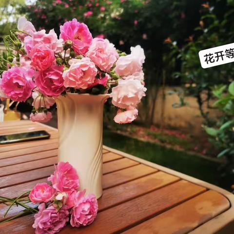 20230420花开了，我们相聚了