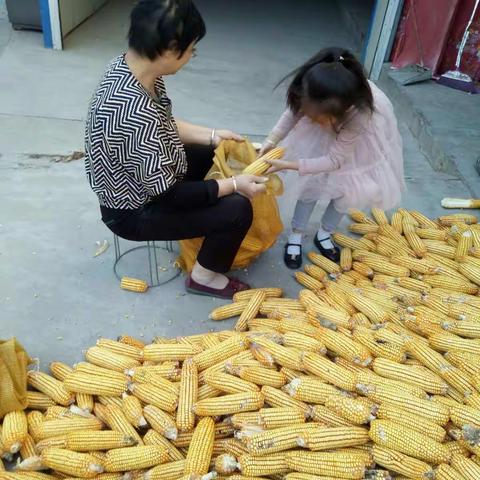 李皓洁的快乐假期