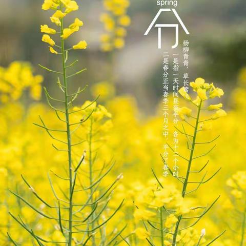不负春光 与爱同行❤️