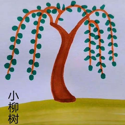 小柳树