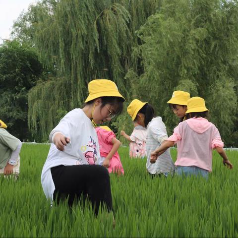 七彩庄园夏令营！一日游及多日游，内容丰富，新颖。欢迎同业咨询！