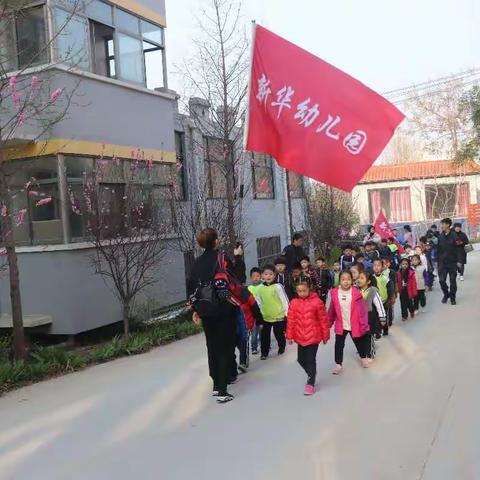 新华幼儿园——与绿色同行