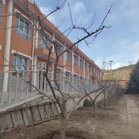 不忘初心栽桃李——蓝旗卡伦小学校园植树纪实