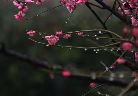 散文 || 山村里第一场春雨