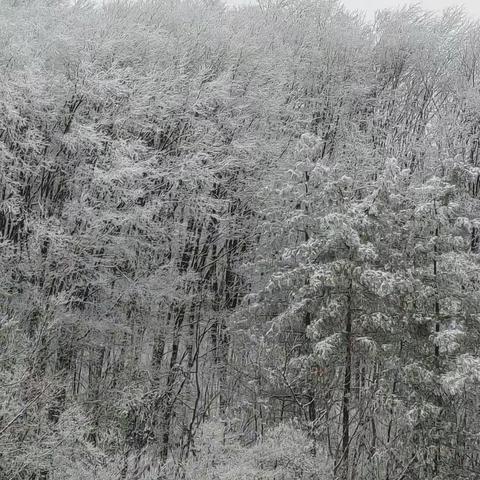 散文 || 醉美冰雪（椿木营的冰雪世界）