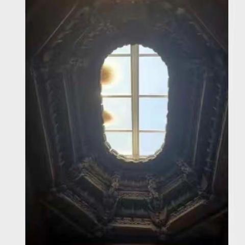 瞻园摄影作业点评(3)