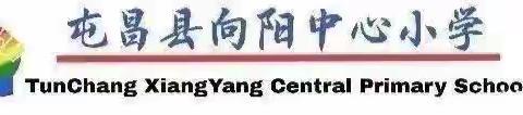 读有所悟，共享“书”香——记屯昌县向阳中心小学2024年秋季语文组教师读书交流会